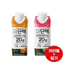 빙그레 더단백 드링크250ml 카라멜맛4+딸기맛4 총8개입/단백질드링크/우유단백질/무배, 250ml, 1세트