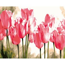 그림그리기좋은날다육식물