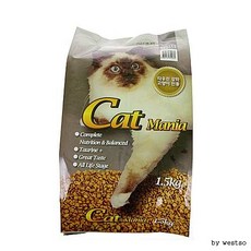 어반디케이캣콜