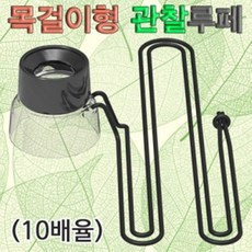 루퐁이네