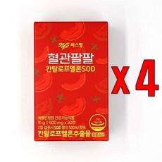 혈관팔팔
