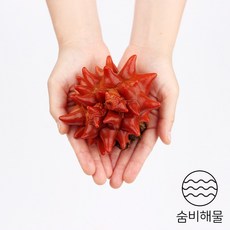 거제 해녀가 채취한 자연산 멍게 1kg