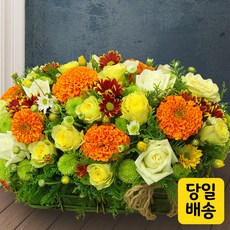 dd87ada5e9407a4caa51e8ae329e2ac0df90a95527fbf838d56b96339a16.jpg