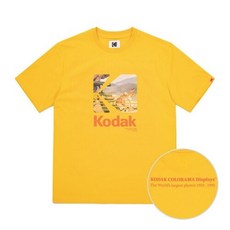 뷰파인더모니터