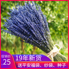 b15664dd993e131c6b624c24132859f86cb460156f774e2e62356372f88d.png