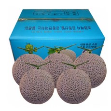 세론이 멜론 나주메론5kg12브릭스, 머스크메론5과