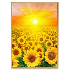 24k해바라기액자
