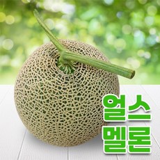 경주메론