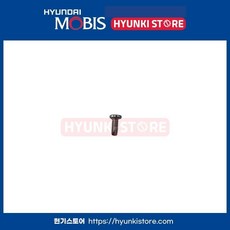 스크류 어스 카운터썽크 (9179138000), 1개