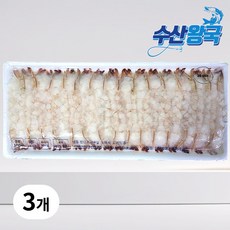 노바시새우 TOP01