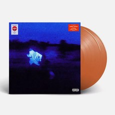 다니엘 시저 LP Daniel Caesar - NEVER ENOUGH Vinyl 바이닐 한정반 엘피판 - 다니엘시저lp