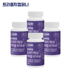 지후아 프리미엄 도라지 맥문동 까마중 마가목 국내산 열매 환절기 환 3+1 (사은품증정), 도라지 맥문동 까마중 마가목 환, 4통, 100g