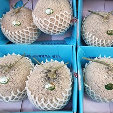 프리미엄 고당도 세지메론 세론이 메론 머스크메론 5KG, 파란박스5KG,2~4수