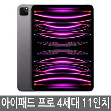 아이패드 프로 4세대 11인치 128GB WiFi 미개봉