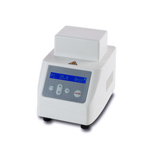 호리코베이스비트