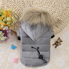 몽클레어강아지