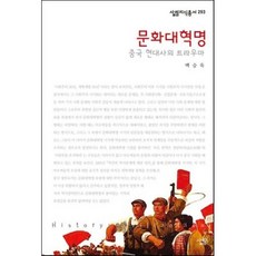 문화대혁명:중국 현대사의 트라우마, 살림, 백승욱 저