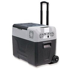 [한국정식수입][당일출고] 알피쿨 CX40KR 40L 캠핑용 이동식 냉장고, 혼합색상