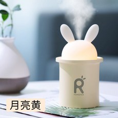 알로코리아가습기