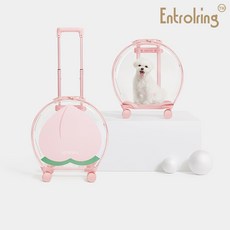 카사바랑캣츠