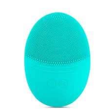 포레오루나미니2