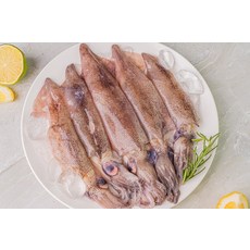쫄깃 총알 한치 급냉 선동 총알한치 500g, 1개
