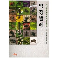 ce26fd3f10a5f6ff4f2b27f076c63bb28315eaf3ed6a353fc645f98ebb1a.jpg