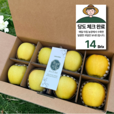 최상등급 14brix 시나노골드 사과 특대, 1박스, 중과 2kg (8과)