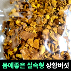[몸에좋은 실속형] 상황버섯 장수상황버섯 명품상황버섯 국내산재배 국산버섯 영양가득, 1개, 2kg