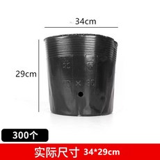 ced997199df7e2f06a4af11d519e34b673c9c4e8c94d5cd56c4b9c304d32.jpg