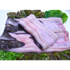 전북고창 생물 풍천장어 1kg(손질후 700g) 2~3마리+양념장+생강증정 풍천장어1kg(손질700g), 1박스