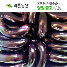 < 바른농산 > 국내산 햇가지 못난이 상품” width=”90″ height=”90″><span class=