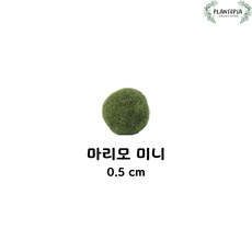 ad25c71ccc8215aa87294eab20ed7e4de7f92d01ae4957f51ac3927627b6.jpg