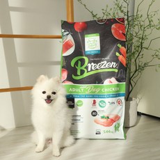 [출시기념행사] 브리젠 어덜트 독 스페인 강아지사료 미니치킨