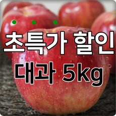 청송사과 산직의 싱싱함을 그대로 산지직송 2021년 햇사과 부사, 1박스, 05.경북사과 5kg 가정용 대과