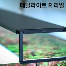 메탈라이트 R 리얼...