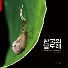 날도래