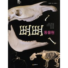 언니네오돌뼈