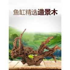 관상어 수조 장식품 어항조경침목수초소형철쭉근브라질목천연장식뿌리대형수림나무말뚝, 01 우선 조경목(1근) (근에 따라 발송대