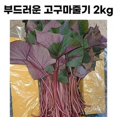 고구마줄거리김치