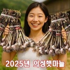 2025년 의성마늘 한지형 육쪽마늘 햇마늘 100개 한접, 1세트, 소:2~3.5cm내외1접