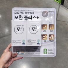 풍성비책하루모환