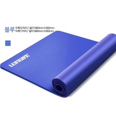 세연정통 턱걸이 모래주머니 전신기구 폼롤러 튜빙밴드 실내기구 덤벨 아령 프리미엄 푸쉬업바 레이닝기구 스쿼트 블루 훌라후프 줄넘기 철주머니 윗몸일으키기기구 홈트 무게조절 풀업바 기구 헬스 스텝퍼 매트 10mm 짐볼 W6C31DD 요가 장갑 ab슬라이드 요가매트