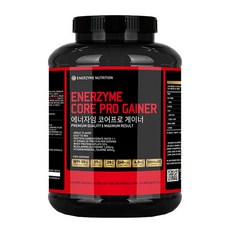 에너자임 코어 프로 WPI 게이너 초코 4kg, 1개