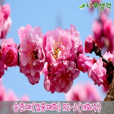 백등유가격