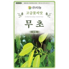 다년초사랑농원