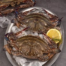산지직송 24년 봄제철 진도 활 암꽃게 2kg 8-12미(얼음포장) -인증