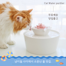[몽치리펫] 냥이 물맛집 대용량 고급 세라믹 연잎정수기 숯필터 물고기장난감 고양이 필수템 인테리어 자동 음수기 집사필수 냥이 음수량 늘리기, 1세트, 세트구성, 정수기+숯필터2+수중모터+물고기장난감 레드1,오렌지1
