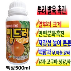 어항고구마