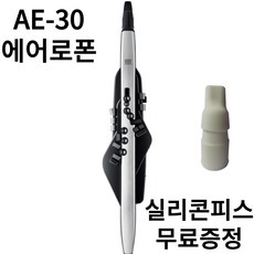 전자색소폰 / 에어로폰 프로/ 롤랜드 / Roland AE-30 V2 / AE30